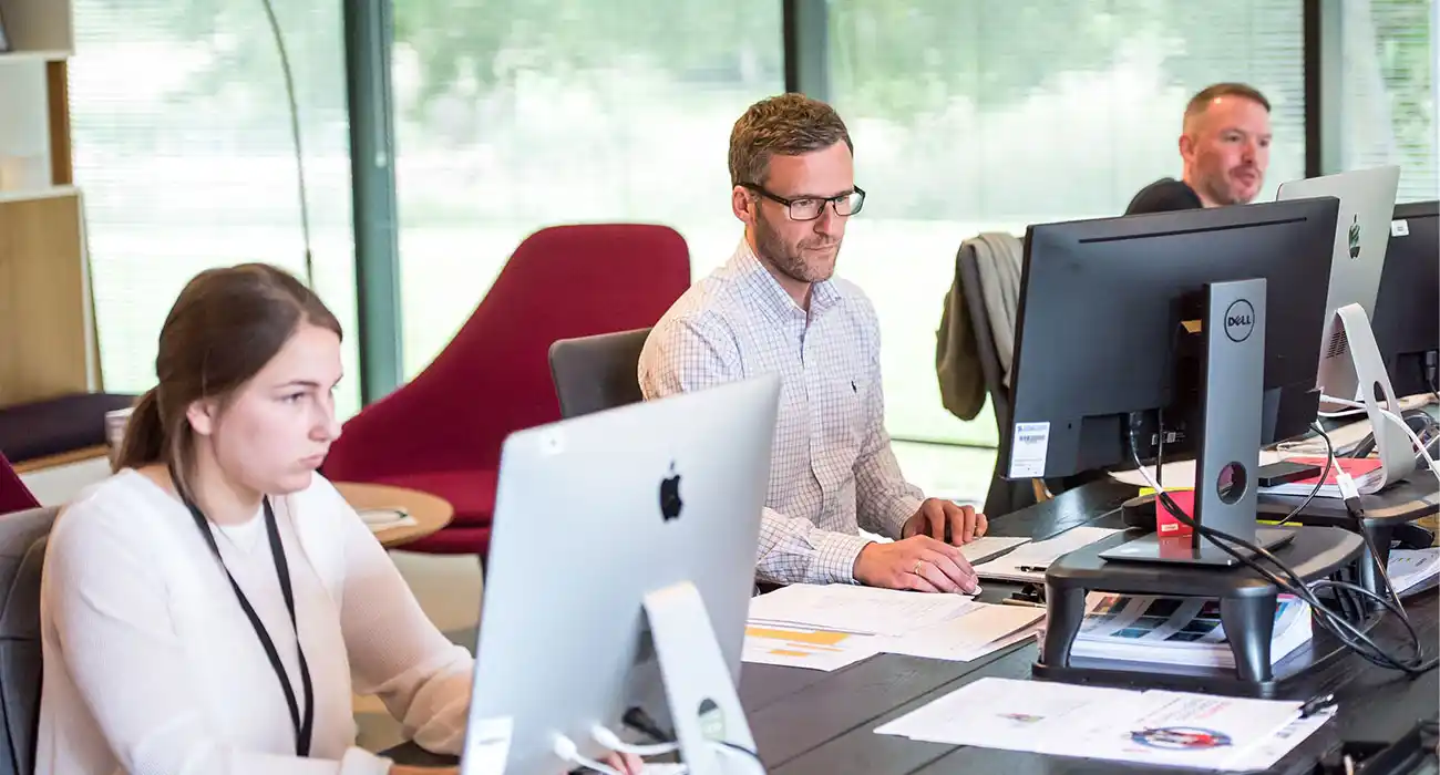 Drei Kollegen arbeiten in einem Büro und schauen auf ihre Monitore.